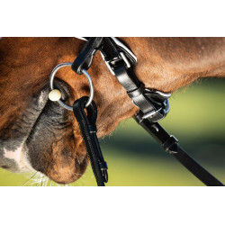 Bride convertible bridon Weymouth HFI Noir / noir