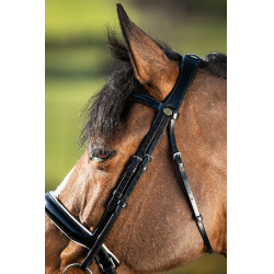 Bride convertible bridon Weymouth HFI Noir / noir