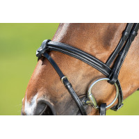 Bridon anatomique HFI Noir Bridon anatomique HFI Noir