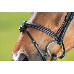 Bridon anatomique HFI Noir