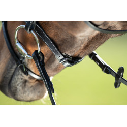 Bridon anatomique HFI Noir