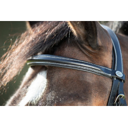 Bridon anatomique HFI Noir