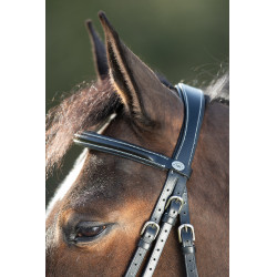 Bridon anatomique HFI Noir