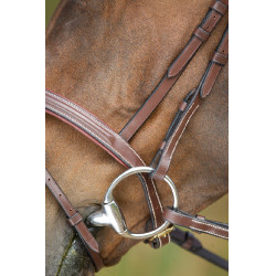 Bridon anatomique HFI Marron