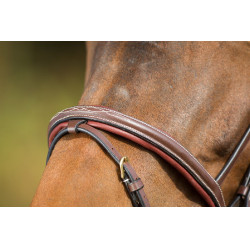 Bridon Comfort HFI Marron