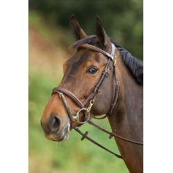 Bridon fonctionnel HFI Marron