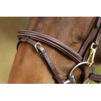 Bridon fonctionnel HFI Marron