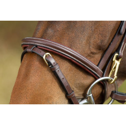 Bridon fonctionnel HFI Marron
