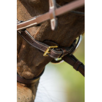 Bridon fonctionnel HFI Marron