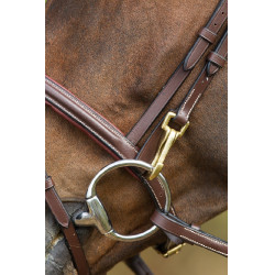 Bridon fonctionnel HFI Marron