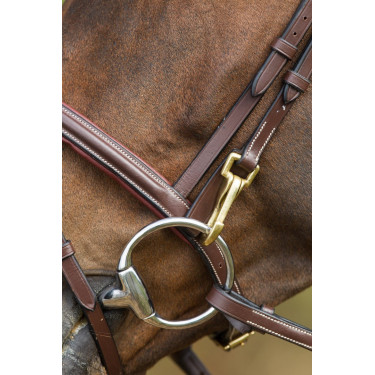 Bridon fonctionnel HFI Marron
