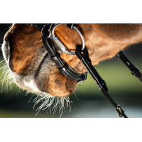 Bridon German HFI Marron