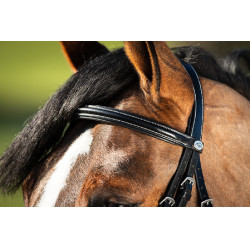 Bridon German HFI Noir