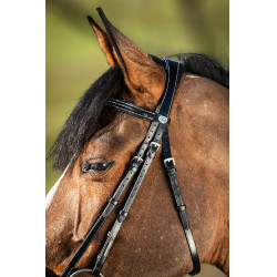 Bridon German HFI Noir