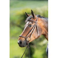Bridon German HFI Marron