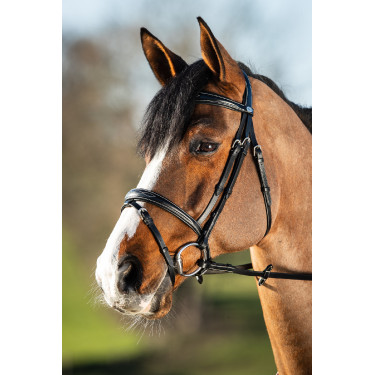 Bridon HFI Elegant Bridon HFI Elegant