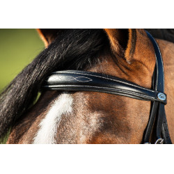 Bridon HFI Elegant Noir Bridon HFI Elegant Noir