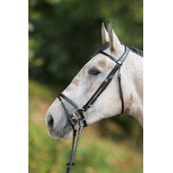 Bridon HFI Regular Noir