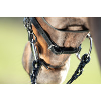 Bridon HFI Regular Noir Bridon HFI Regular Noir