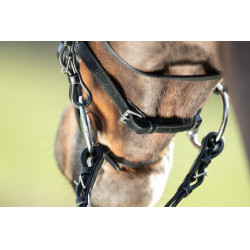 Bridon HFI Regular Noir