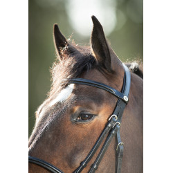 Bridon HFI Regular Noir