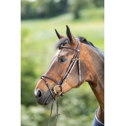 Bridon HFI Regular Marron