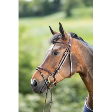 Bridon HFI Regular Marron