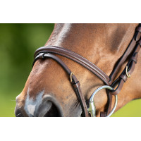 Bridon HFI Regular Marron