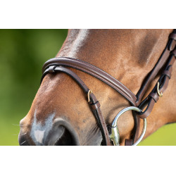 Bridon HFI Regular Marron