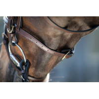 Bridon HFI Regular Noir