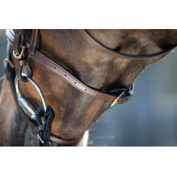 Bridon HFI Regular Marron