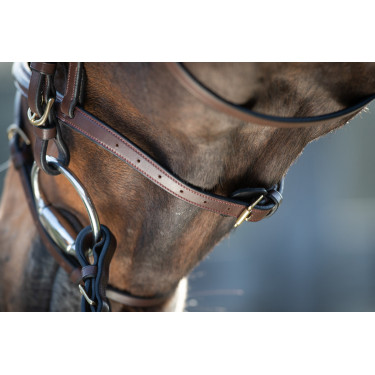 Bridon HFI Regular Marron