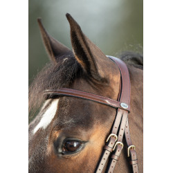 Bridon HFI Regular Marron