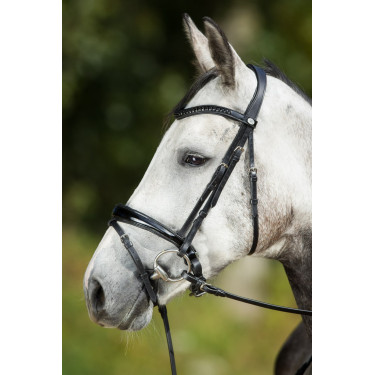 Bridon Luxe HFI Bridon Luxe HFI