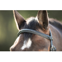 Bridon Mexican HFI Noir Bridon Mexican HFI Noir