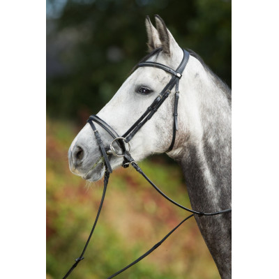 Bridon Sparkly HFI Noir