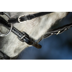 Bridon Sparkly HFI Bridon Sparkly HFI