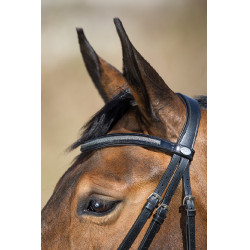 Bridon Sparkly HFI Bridon Sparkly HFI