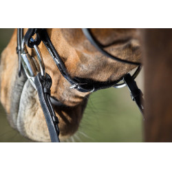 Bridon Sparkly HFI Bridon Sparkly HFI