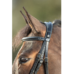 Bridon Technical HFI Noir