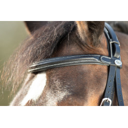 Bridon Technical HFI Noir