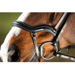 Bridon Techno HFI Noir