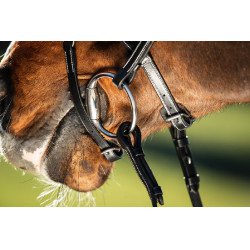 Bridon Techno HFI Noir