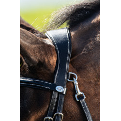 Bridon Techno HFI Noir