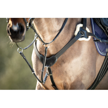 Collier de chasse 5 points HFI Collier de chasse 5 points HFI
