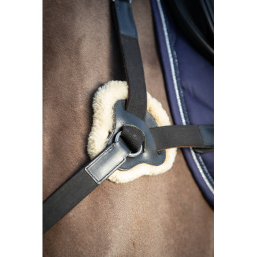 Collier de chasse 5 points HFI Collier de chasse 5 points HFI