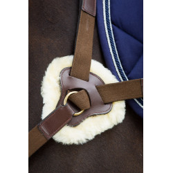 Collier de chasse 5 points HFI Marron