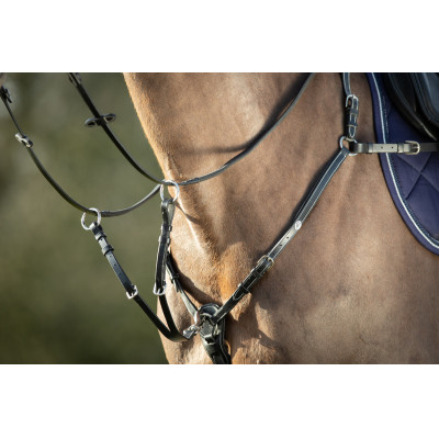 Collier de chasse Long Bridge HFI Noir
