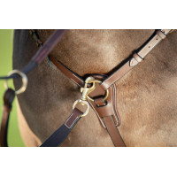 Collier de chasse Long Bridge HFI Marron
