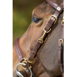 Combo Bridon / Licol HFI Marron